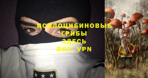 герыч Арсеньев